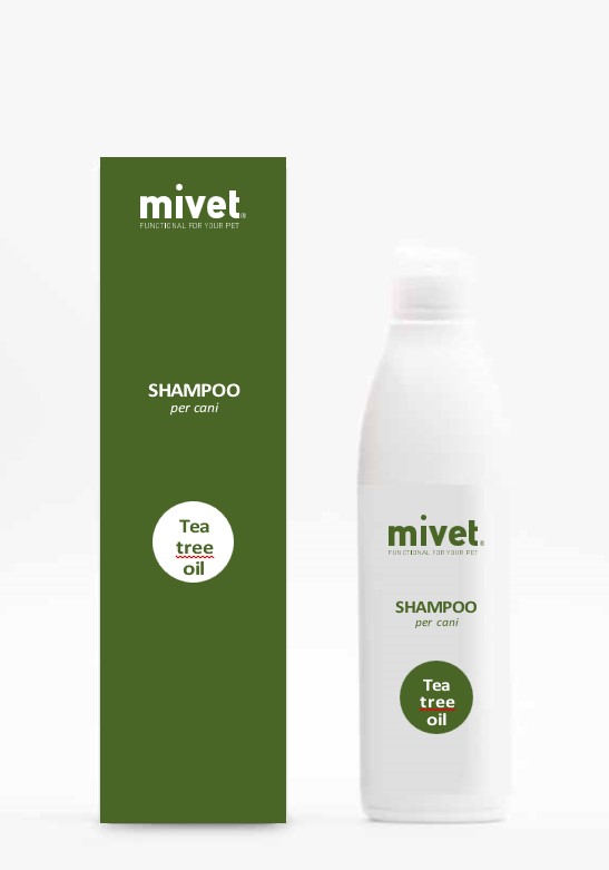 Shampoo tea tree oil